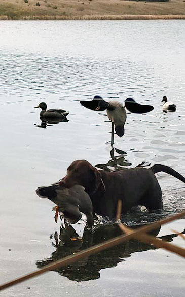 Prairie Sky Game Ranch Waterfowl Hunting